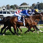Chivalry takes first step on Guineas path