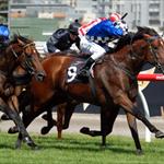 Talented colt earns a crack at the Australian Guineas